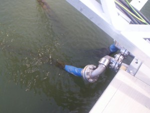 flange-800x600
